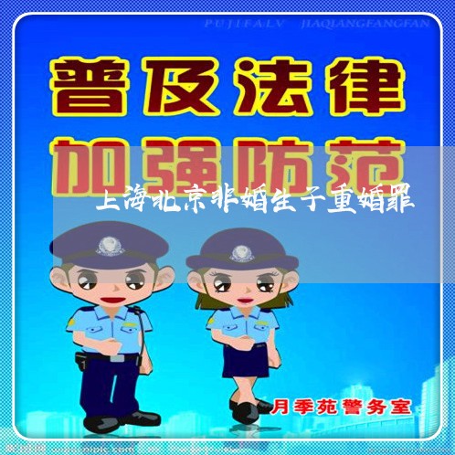 上海北京非婚生子重婚罪/2023022628502 上海北京非婚生子重婚罪/2023022628502