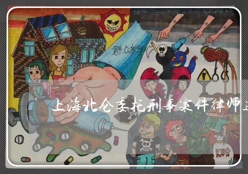 上海北仑委托刑事案件律师选谁/2023060218360