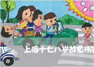 上海十七八岁故意伤害罪/2023022618482 上海十七八岁故意伤害罪/2023022618482