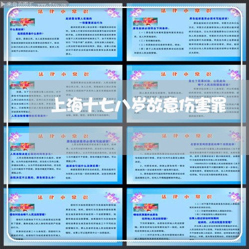 上海十七八岁故意伤害罪/2023022650574 上海十七八岁故意伤害罪/2023022650574