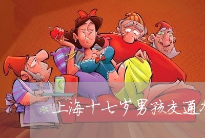 上海十七岁男孩交通肇事逃逸/2023032959405 上海十七岁男孩交通肇事逃逸/2023032959405