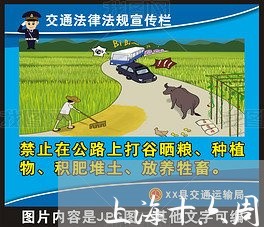 上海十六周岁故意伤害罪/2023022698268 上海十六周岁故意伤害罪/2023022698268