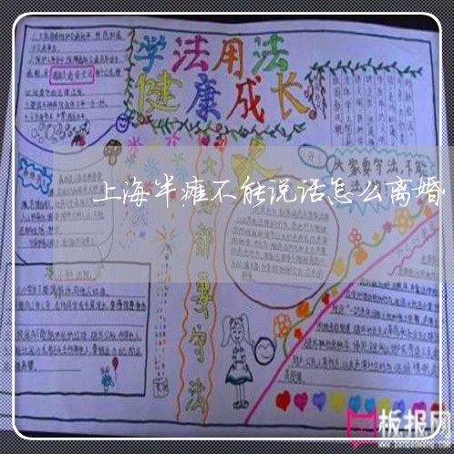 上海半瘫不能说话怎么离婚/2023031426931