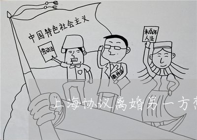 上海协议离婚另一方想要抚养权/2023060236049