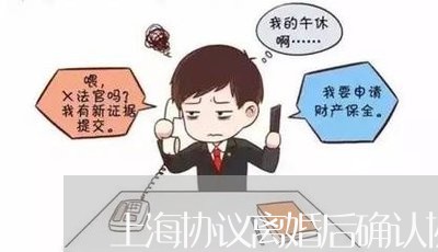 上海协议离婚后确认协议效力/2023032918169 上海协议离婚后确认协议效力/2023032918169