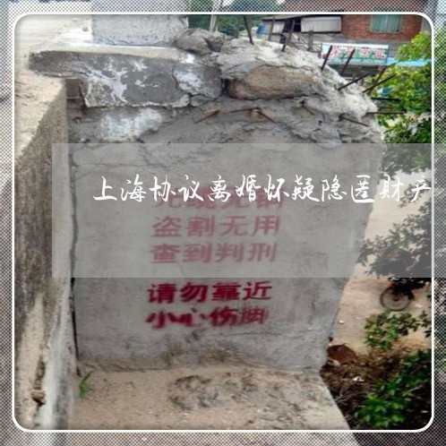 上海协议离婚怀疑隐匿财产/2023031569482 上海协议离婚怀疑隐匿财产/2023031569482