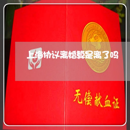 上海协议离婚算是离了吗/2023022695814 上海协议离婚算是离了吗/2023022695814