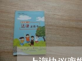 上海协议离婚财产权厘定/2023022685725 上海协议离婚财产权厘定/2023022685725