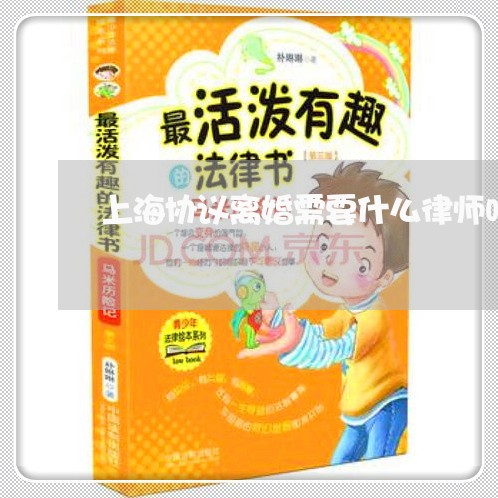 上海协议离婚需要什么律师吗/2023032938362