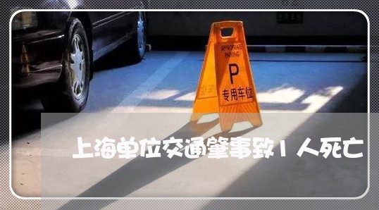 上海单位交通肇事致1人死亡/2023032924928 上海单位交通肇事致1人死亡/2023032924928