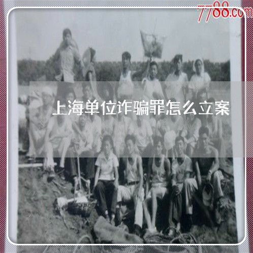 上海单位诈骗罪怎么立案/2023022608149 上海单位诈骗罪怎么立案/2023022608149