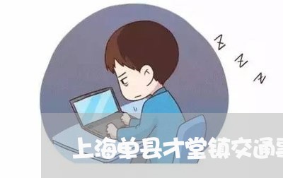 上海单县才堂镇交通事故/2023022685949 上海单县才堂镇交通事故/2023022685949