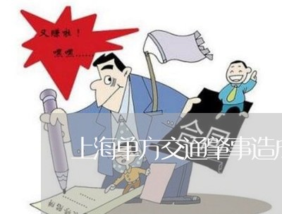 上海单方交通肇事造成死亡/2023031506938 上海单方交通肇事造成死亡/2023031506938