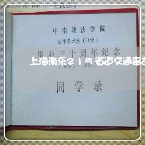 上海南乐215省道交通事故/2023032916270 上海南乐215省道交通事故/2023032916270