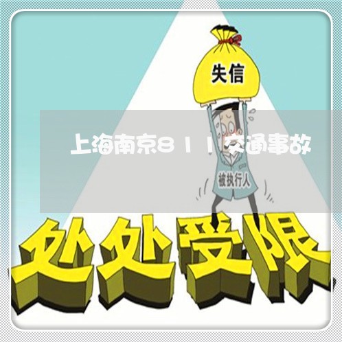 上海南京811交通事故/2023022699495 上海南京811交通事故/2023022699495