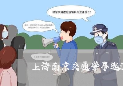 上海南京交通肇事逃逸案例/2023031561481 上海南京交通肇事逃逸案例/2023031561481
