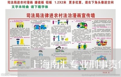 上海南汇专业刑事责任律师/2023031547350 上海南汇专业刑事责任律师/2023031547350