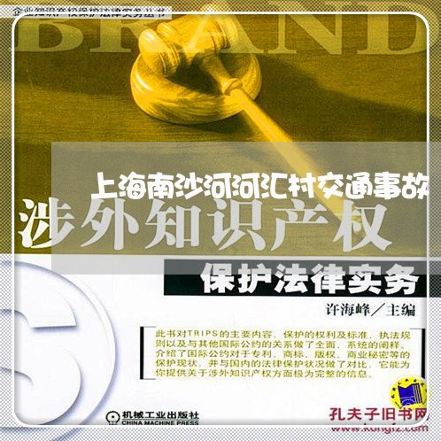 上海南沙河河汇村交通事故/2023031505915