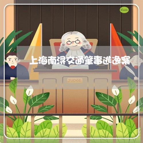 上海南浔交通肇事逃逸案/2023022682582 上海南浔交通肇事逃逸案/2023022682582