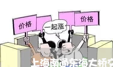 上海南通东海大桥交通事故/2023031559491 上海南通东海大桥交通事故/2023031559491