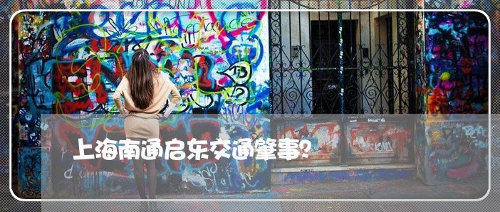 上海南通启东交通肇事？/2023022683936