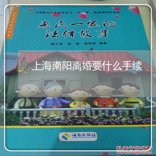 上海南阳离婚要什么手续/2023022603726