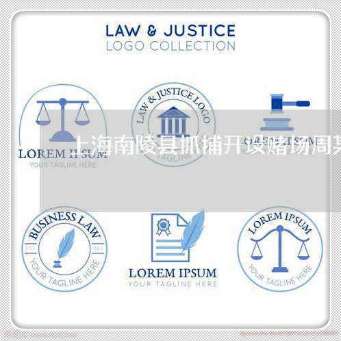 上海南陵县抓捕开设赌场周某/2023032805026 上海南陵县抓捕开设赌场周某/2023032805026