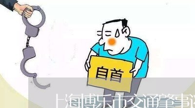 上海博乐市交通肇事逃逸罪/2023031530261