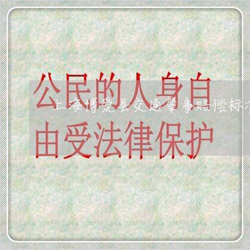 上海博爱县交通肇事赔偿标准/2023032825958 上海博爱县交通肇事赔偿标准/2023032825958