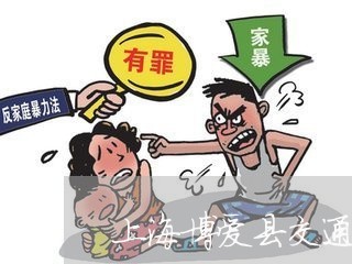 上海博爱县交通肇事赔偿标准/2023032873793 上海博爱县交通肇事赔偿标准/2023032873793