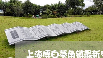 上海博白菱角镇最新交通事故/2023032815128 上海博白菱角镇最新交通事故/2023032815128