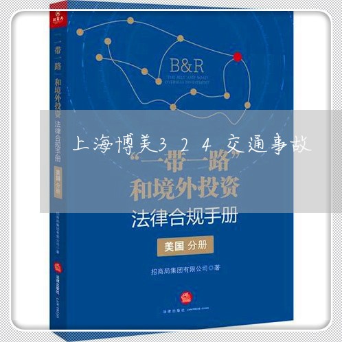 上海博美324交通事故/2023022517160 上海博美324交通事故/2023022517160