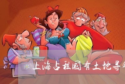 上海占租国有土地寻衅滋事罪/2023032849369 上海占租国有土地寻衅滋事罪/2023032849369