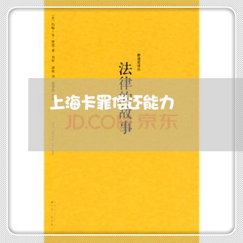 上海卡罪偿还能力/2023031526036