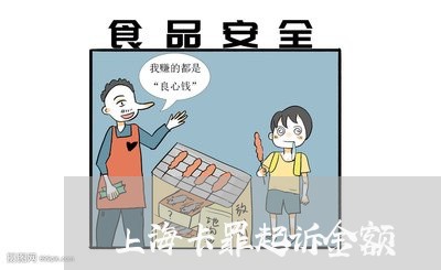 上海卡罪起诉金额/2023031636392