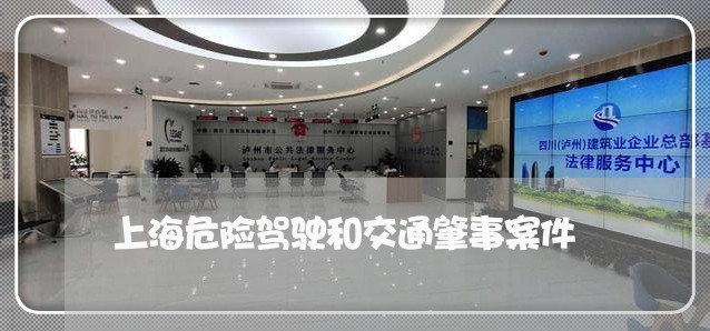 上海危险驾驶和交通肇事案件/2023032883404 上海危险驾驶和交通肇事案件/2023032883404