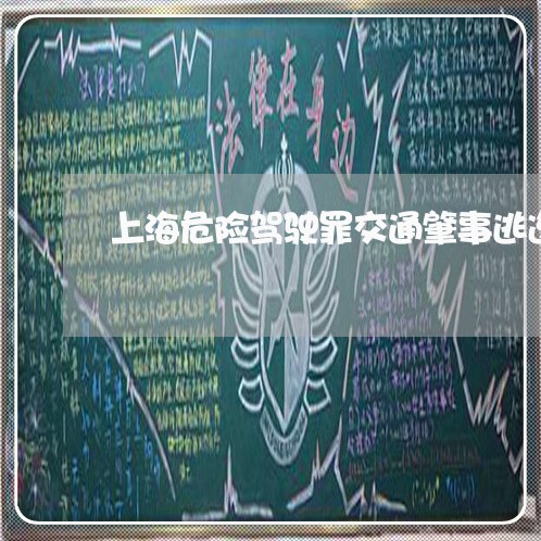 上海危险驾驶罪交通肇事逃逸/2023032843047 上海危险驾驶罪交通肇事逃逸/2023032843047
