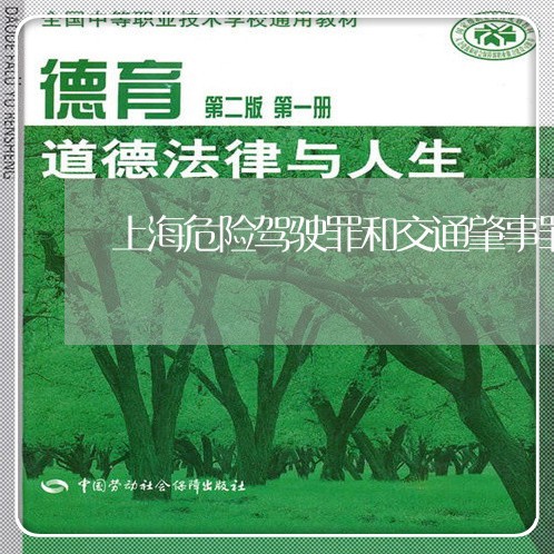 上海危险驾驶罪和交通肇事罪/2023032847262 上海危险驾驶罪和交通肇事罪/2023032847262