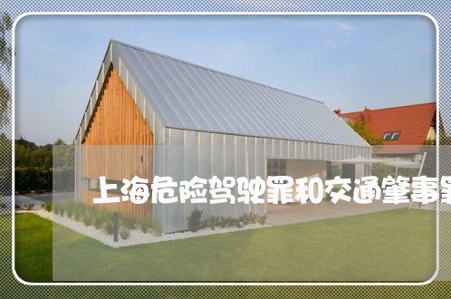 上海危险驾驶罪和交通肇事罪/2023032893827 上海危险驾驶罪和交通肇事罪/2023032893827