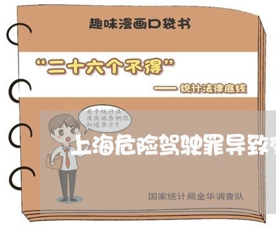 上海危险驾驶罪导致交通肇事/2023032848681 上海危险驾驶罪导致交通肇事/2023032848681
