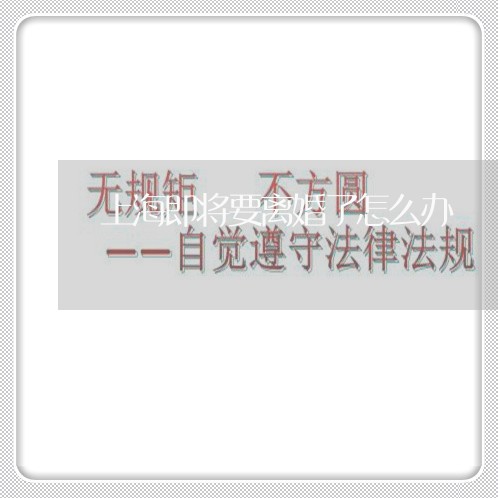 上海即将要离婚了怎么办/2023022640795 上海即将要离婚了怎么办/2023022640795