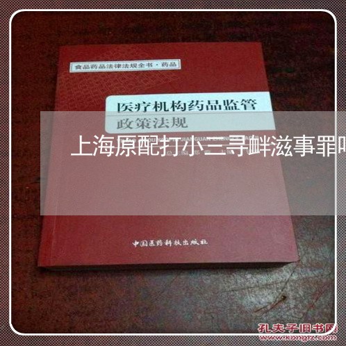 上海原配打小三寻衅滋事罪吗/2023032860583