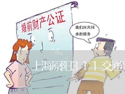 上海原阳311交通事故/2023022683618 上海原阳311交通事故/2023022683618