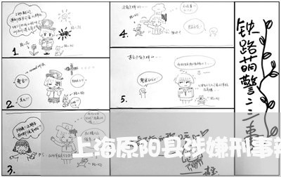 上海原阳县涉嫌刑事辩护律师/2023032899281