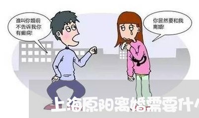 上海原阳离婚需要什么正见/2023031517149 上海原阳离婚需要什么正见/2023031517149