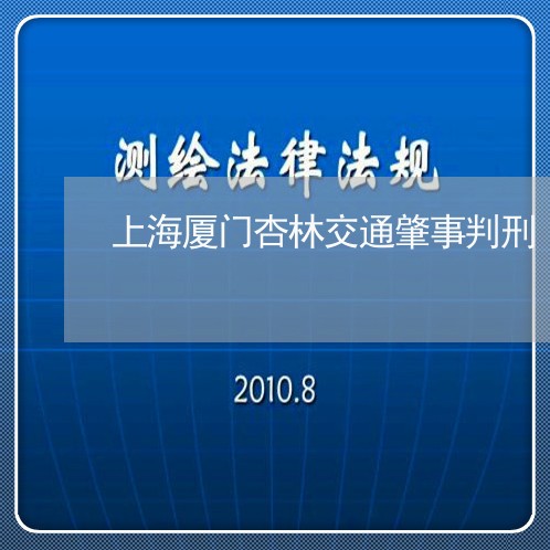 上海厦门杏林交通肇事判刑/2023031561494