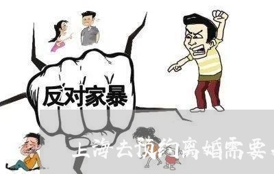 上海去预约离婚需要身份证吗/2023032805926 上海去预约离婚需要身份证吗/2023032805926