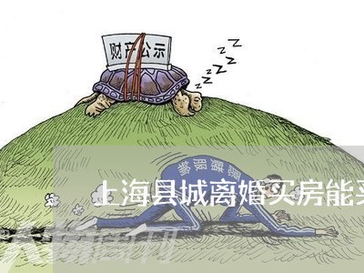 上海县城离婚买房能买吗/2023022614027 上海县城离婚买房能买吗/2023022614027