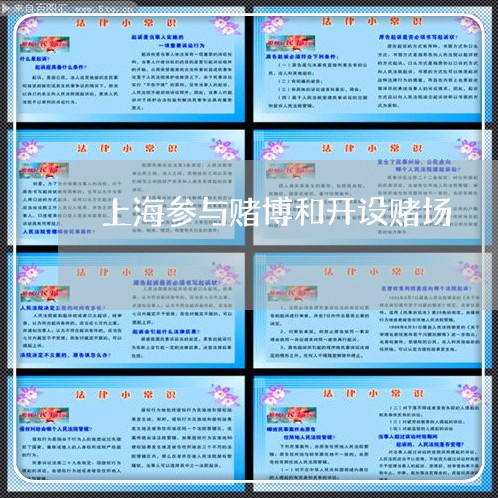 上海参与赌博和开设赌场/2023022663905 上海参与赌博和开设赌场/2023022663905