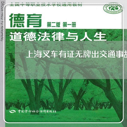 上海叉车有证无牌出交通事故/2023032885825 上海叉车有证无牌出交通事故/2023032885825